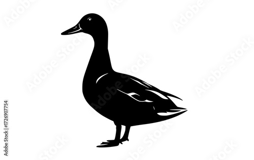 a black silhouette of a duck standing on a transparent backgroundbeak, bird, black, duck, illustration, profile, stand 