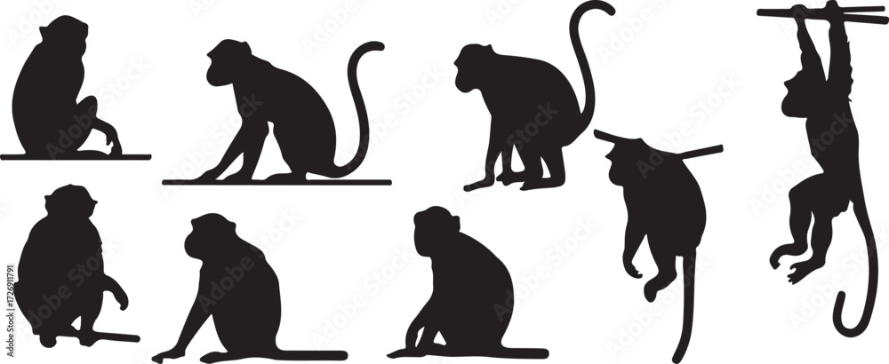 Fotografie Monkey icon, Wild monkey vector, Animal monkey silhouette, Cartoon monkey drawin