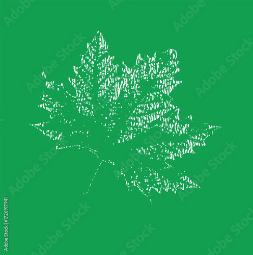 plane tree leaf vector icon background leaf
