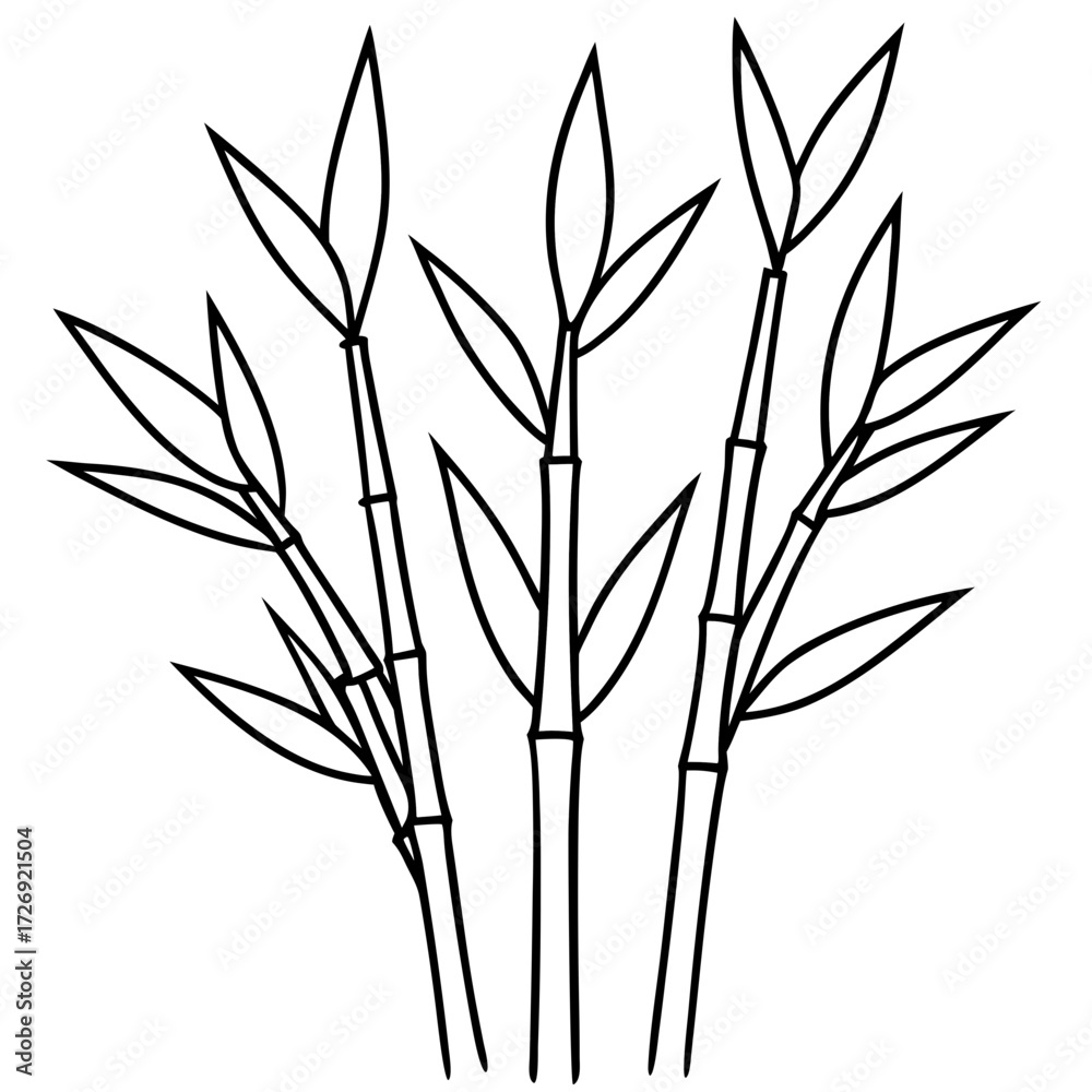 Obraz premium Bamboo Line Art Vector