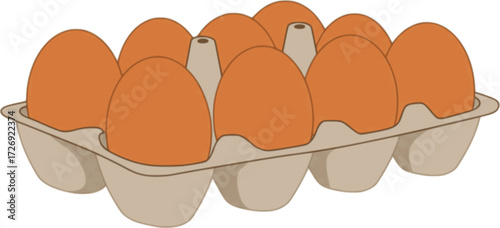 Ten fresh chicken eggs raw in a carton box on white background. Healthy eating or farm fresh concept, protein. Bright and clean design, minimal vector illustration