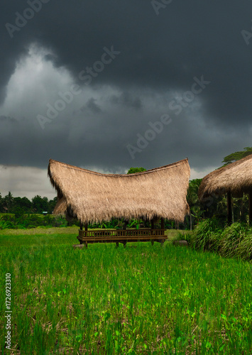Discover the tranquility of a Ubud gazebo surrounded by lush greenery before the rain.