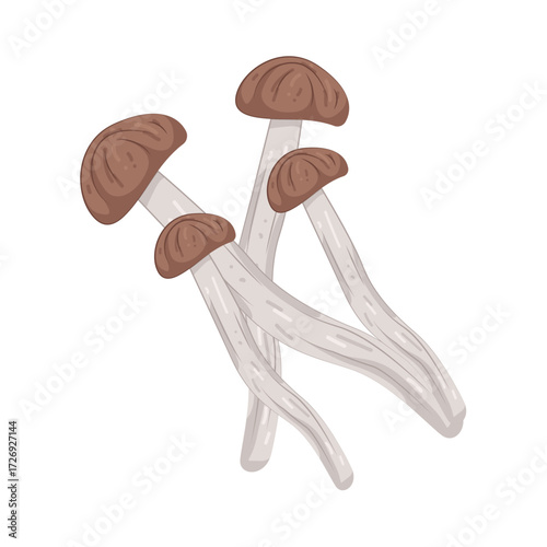 Illustration of four magic mushrooms