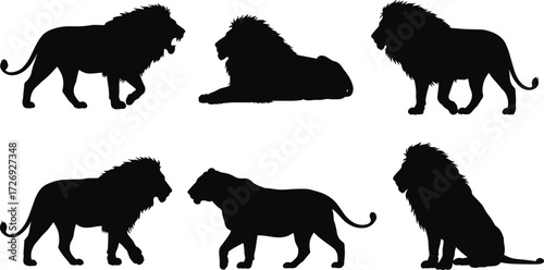 Collection of black lion silhouettes in different poses including walking, sitting, and lying down, isolated vector illustration on white background