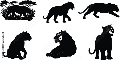Collection of black panther silhouettes in jungle scene and various poses including sitting, walking, lying, and roaring vector illustration