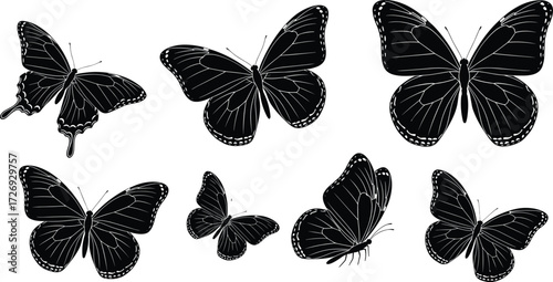 Butterfly silhouette set, black vector insect icons, wing shape variations, nature illustration, entomology design, decorative flying creature artwork