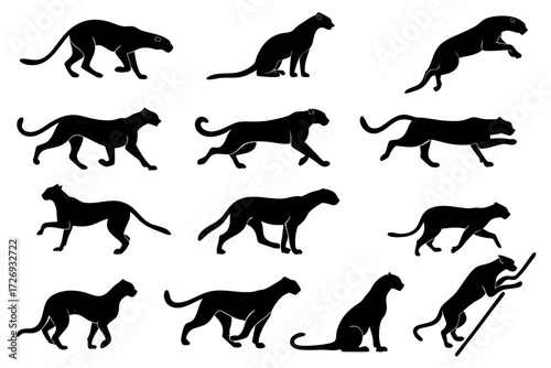 Black panther vector silhouettes set, jaguar illustrations in various poses, wildlife animal design element