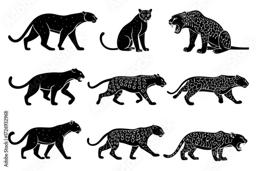 Black panther jaguar leopard vector illustration set big cats silhouette predatory animal wildlife design art