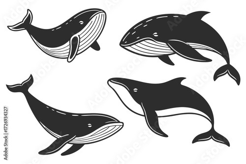 Whale vector illustration set, marine animal drawing, sea life silhouette, ocean mammal graphic design element