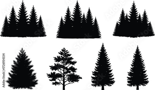 WTree silhouette set, conifer and deciduous forest icons, black vector nature illustration, foliage shapes, botanical landscape design elements