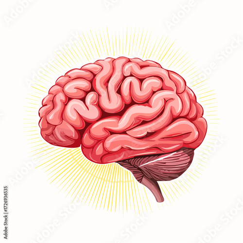 human brain vector