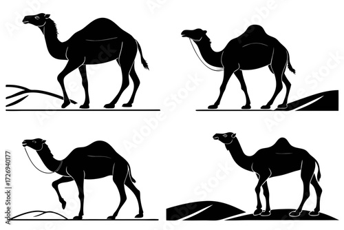 Camel silhouette vector art desert animal illustration arabic mammal dromedary bactrian graphic design icon