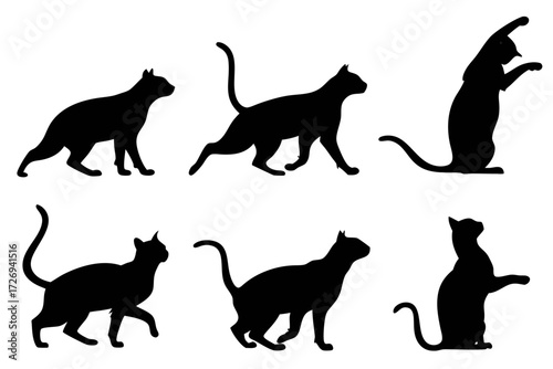 Black cat silhouette vector set, feline animal illustration, domestic pet graphic, kitten poses, cute cats design