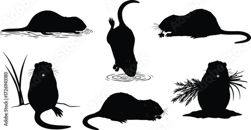 PrintBeaver silhouette collection, wildlife animal poses, aquatic mammal behavior, dam building, nature conservation, forest habitat, water activity, rode