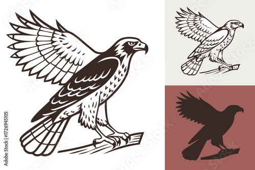 Illustration featuring a detailed eagle with outstretched wings perched on a branch in monochrome tones silhouette