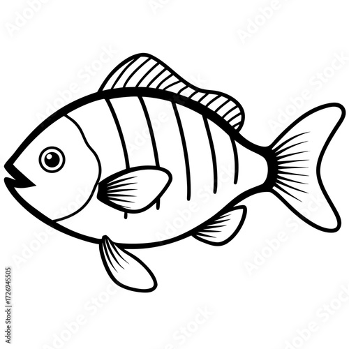 Tilapia line art vector