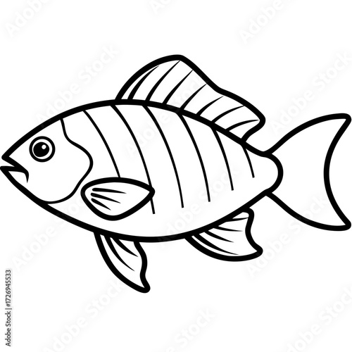 Tilapia line art vector