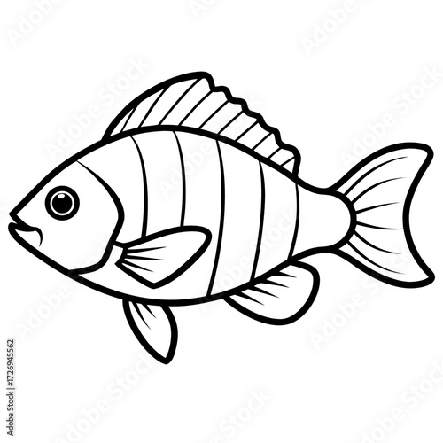 Tilapia line art vector