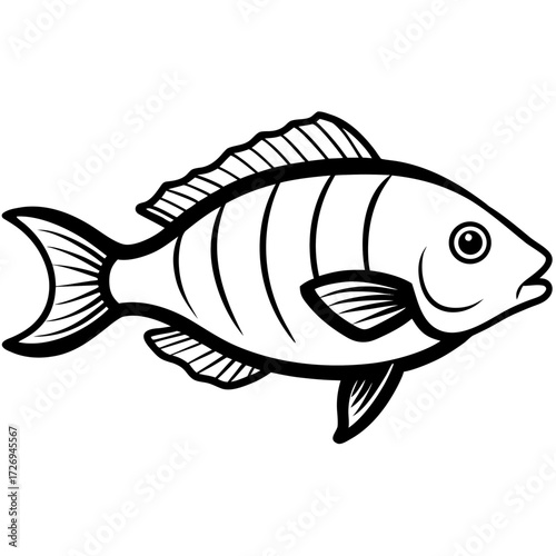 Tilapia line art vector