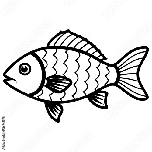 Tilapia line art vector