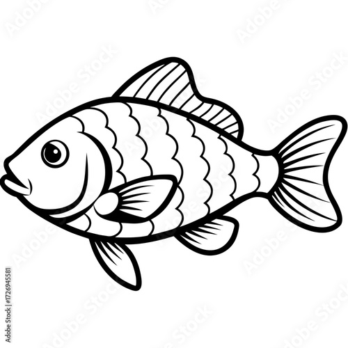 Tilapia line art vector