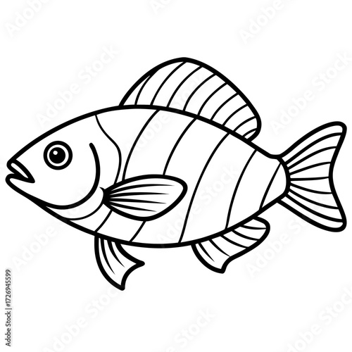 Tilapia line art vector