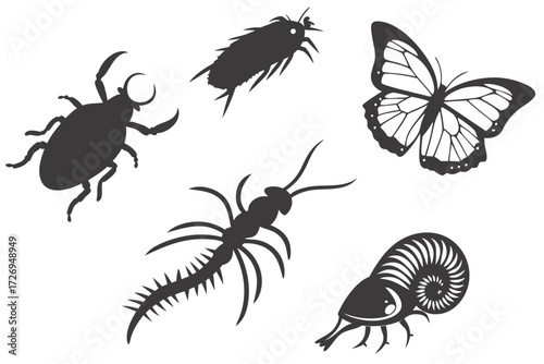 Silhouette illustration of a beetle, a butterfly, a centipede, and other insects on a white background