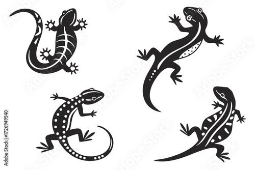 Illustration of four black and white lizards with different patterns on a white isolated background silhouette