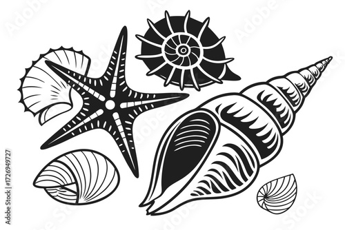 Illustration of a collection of seashells including a starfish and various types of shells on white silhouette