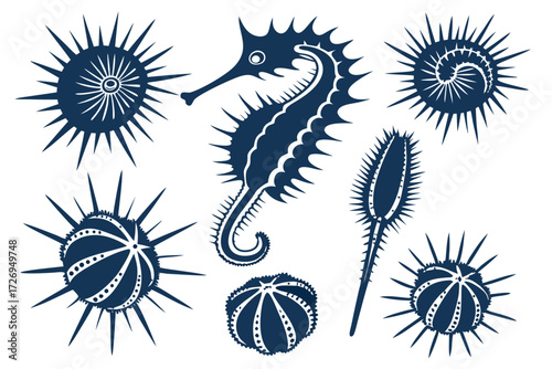 Stylized sea life illustration featuring sea urchins and a seahorse in a dark blue color scheme design silhouette