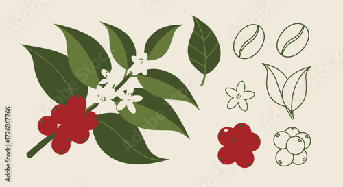 Botanical Elements, Nature, Graphic Design, Creative Environment, Artistic Viewpoint