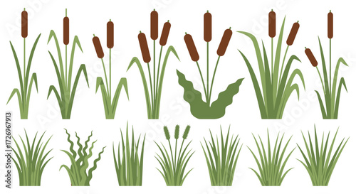 Various Plants and Grasses, Illustration, Outdoors, Vibrant Greenery, Artistic Viewpoint, Botanical Concept