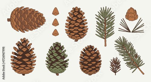 Nature Illustration, Rustic Environment, Botanical Art