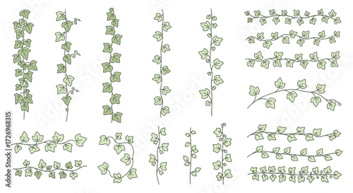 Nature Illustration of Ivy Vines, Green Leaves, Decorative Elements, Botanical Art, Digital Artwork
