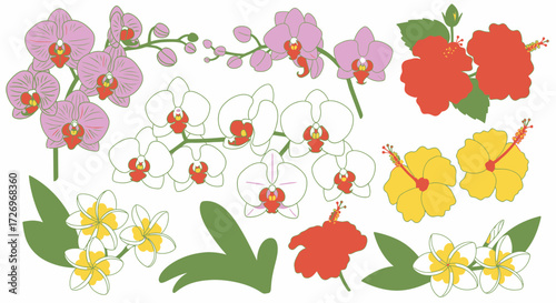 Wallpaper Mural Beautiful Floral Illustrations of Orchids and Hibiscus, Nature Artwork, Vibrant Colors, Graphic Design Torontodigital.ca