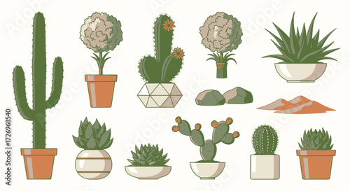 Cactus and Succulent Plant Collection, Indoor Decor, Illustrative Art, Natural Setting, Aesthetic Viewpoint