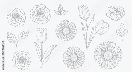 Floral Illustrations, Nature Art, Botanical Sketches, Creative Designs, Digital Graphics, Artistic Environment, Minimalist Aesthetic