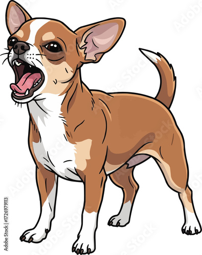 Chihuahua dog cute barking pose vector illustration