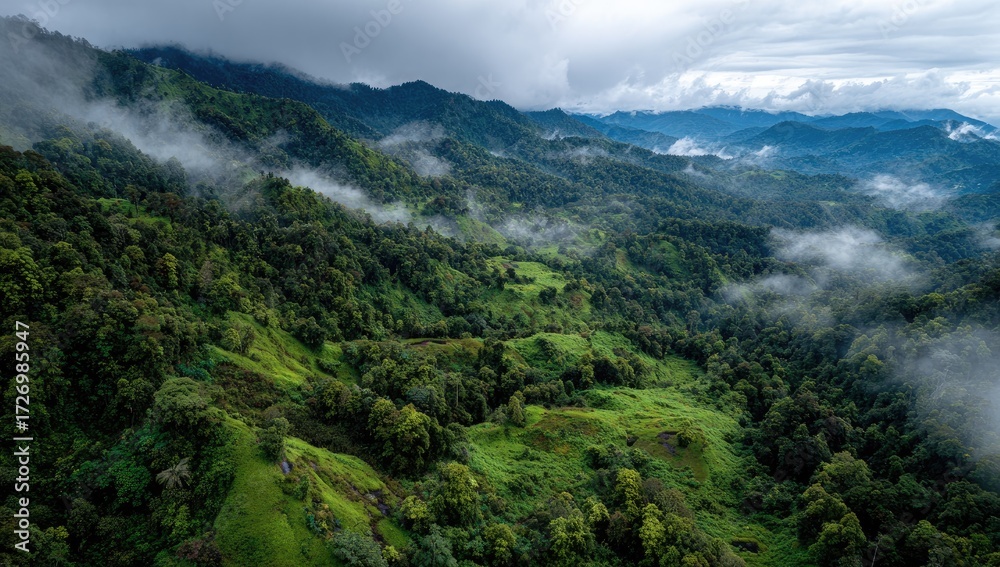 Fototapeta premium Misty mountain range with lush green valleys. Aerial view of forested slopes