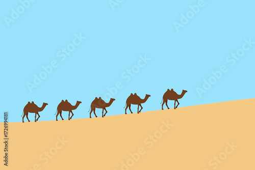 camels in the desert