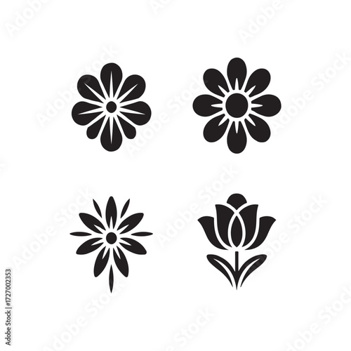 Luxury Brooch Solid Icons Collection