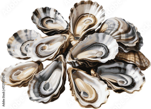 Fresh oysters on a white plate with ice and lemon, 