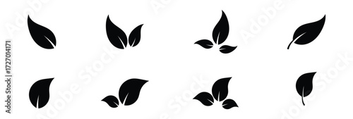 Black dark isolated leaf icon set on white page.  Vector isolated leaf icons on white background.  Nature black leaf icon set on white page. EPS 10. 