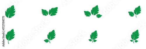 Green isolated leaf icon set on white page.  Vector isolated leaf icons on white background.  Nature leaf icon set on white page. EPS 10.  Green leaf icons set on white page. EPS 10. 