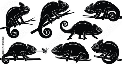 Chameleons Silhouette in different poses, some on branches