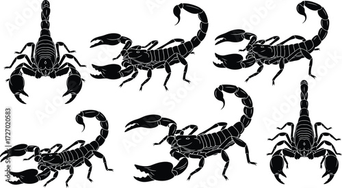 Scorpions in various poses, displaying arachnid features