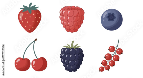 A colorful assortment of various delicious berries, including strawberry, raspberry, blueberry, cherries, blackberry, and redcurrant Vector illustration