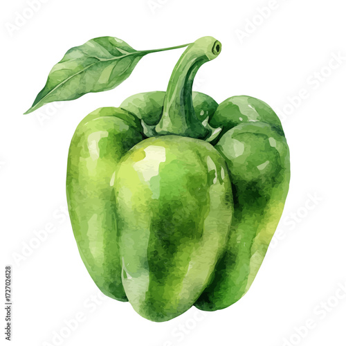 watercolor of Bell Pepper, vector, isolated on a white background.