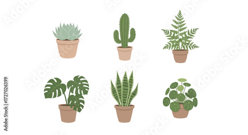 A collection of diverse potted plants, bringing freshness and a touch of nature indoors. Each plant is carefully chosen for its unique shape and texture Vector illustration
