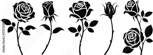 Black and white rose silhouette, floral vector art, decorative flower sketch, tattoo style roses, botanical bloom drawing, elegant outline design, graphic illustration